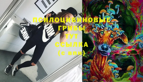 дмт Мегион