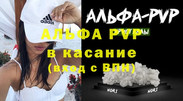 СК Медногорск