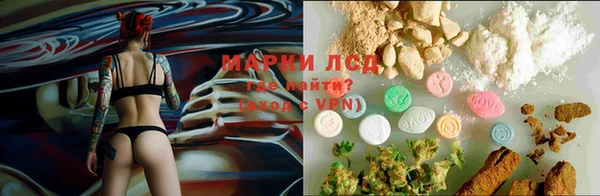 скорость Медвежьегорск